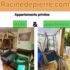  Appartement Racine De Pierre